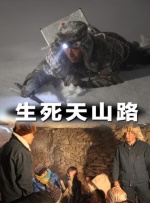 综合视频在线